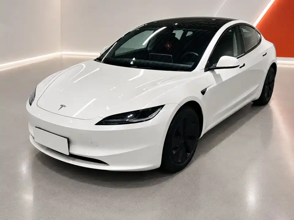 Tesla Model 3 Model Rear-Wheel Drive Edition 2025