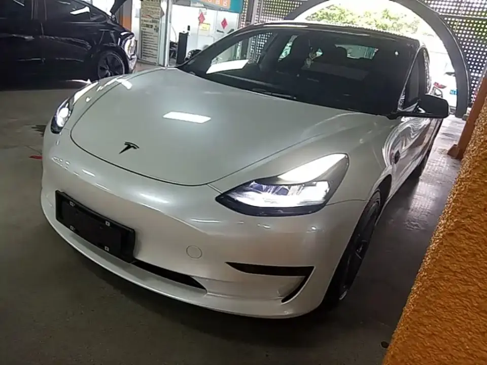 Tesla Model 3 Standard Range Rear-Wheel Drive Upgrade 3D6 2021