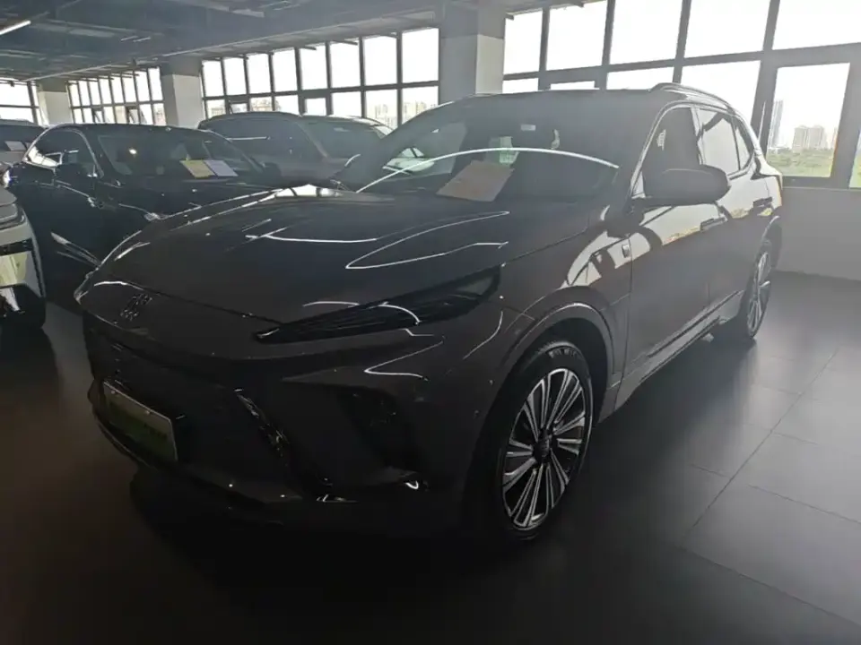 Buick E5 Premium Standard Range Edition 2024