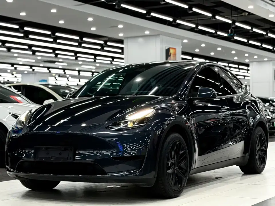 Tesla Model Y Rear-Wheel Drive Version 2024