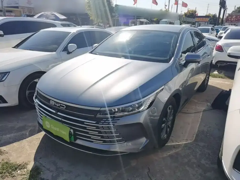 BYD Destroyer 05 Glory Edition DM-i 55KM Luxury 2024