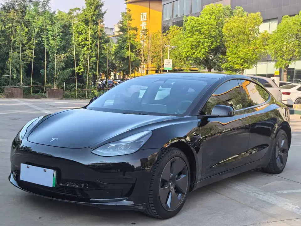 Tesla Model 3 Standard Range Rear-Wheel Drive Upgrade 3D6 2021