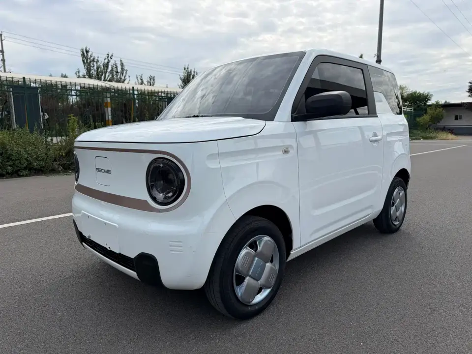 Geely Galaxy Panda Panda mini 200km Endurance Bear 2024
