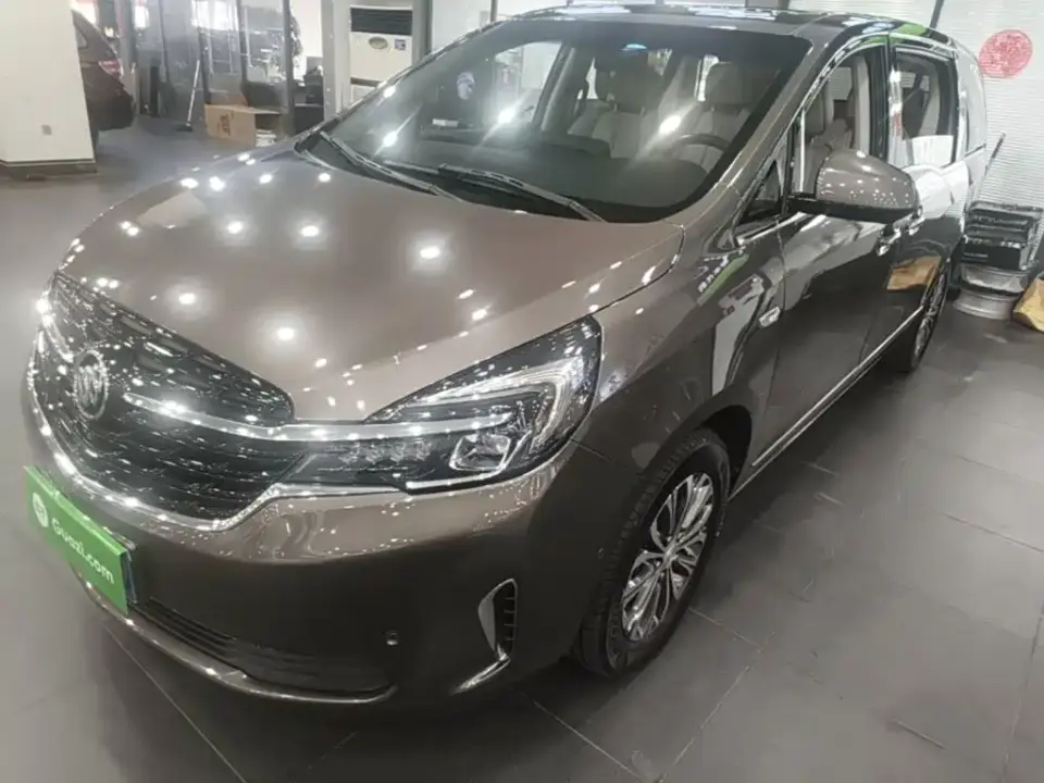 Buick GL8 Land Business Class 652T Premium 2021