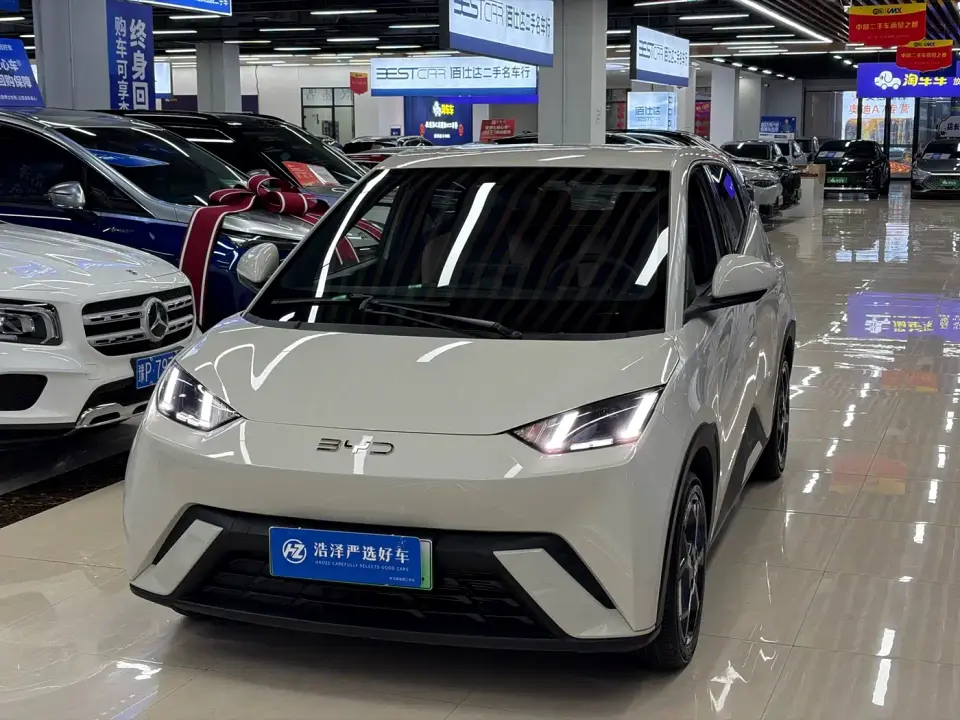 BYD Seagull Glory Edition 305km Freedom Edition 2025