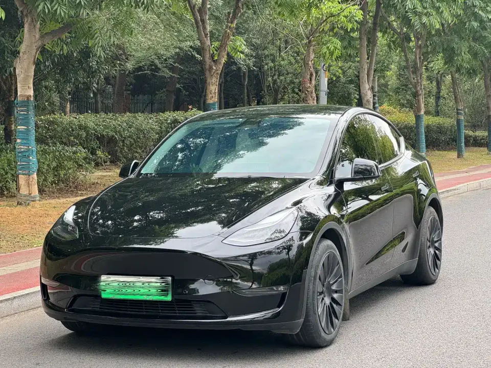 Tesla Model Y Standard Range Rear-Wheel Drive 2021