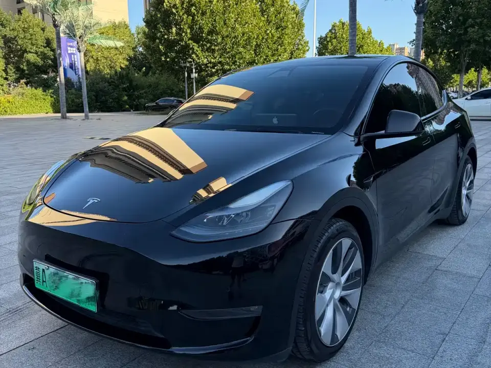 Tesla Model Y Standard Range Rear-Wheel Drive 2021