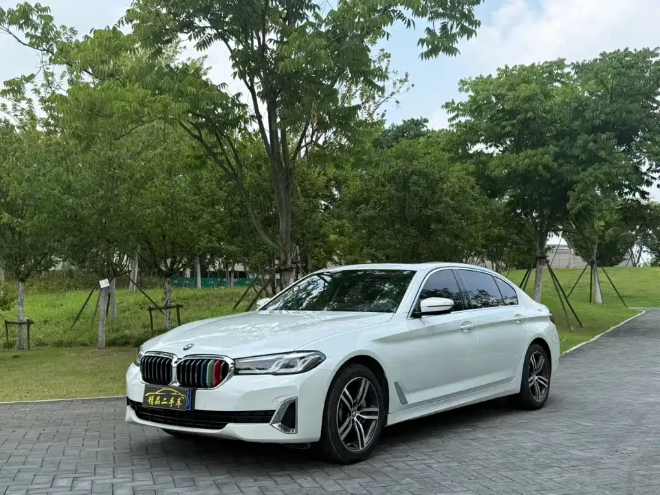 BMW 5 Series 530Li Leading Luxury Package 2021