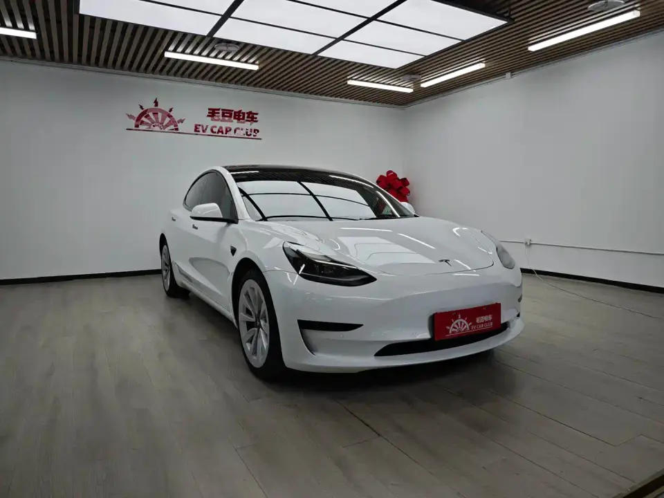 Tesla Model 3 Model Rear-Wheel Drive Version 2022