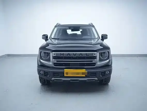 Haval Big Dog 1.5T DCT Border Collie Edition 2023