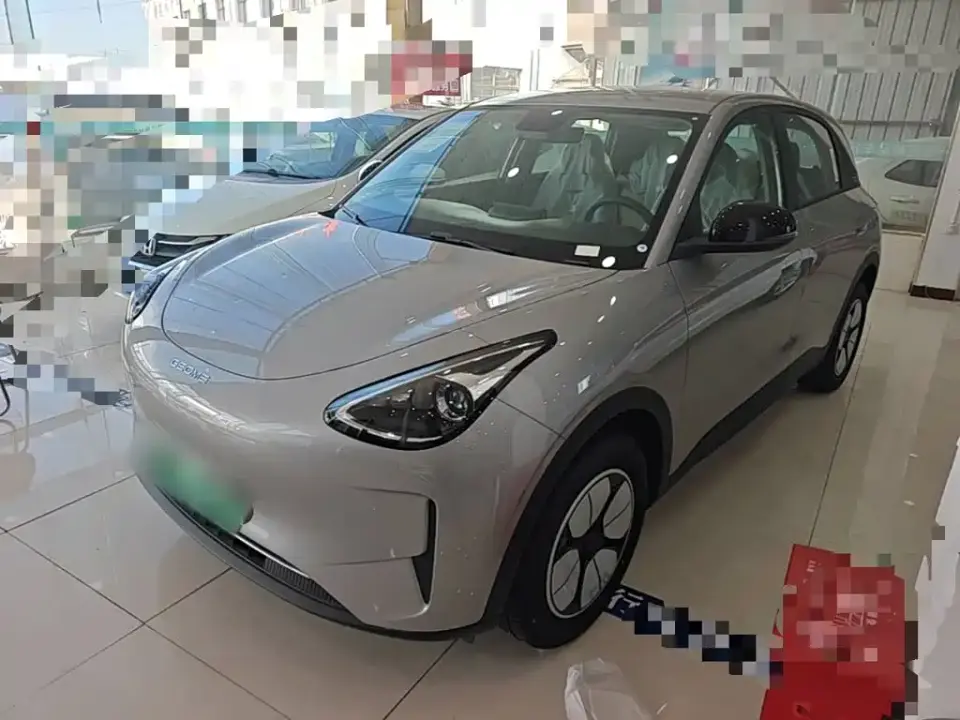Geely Galaxy Starry Wish Edition 310km Youth Version 2026