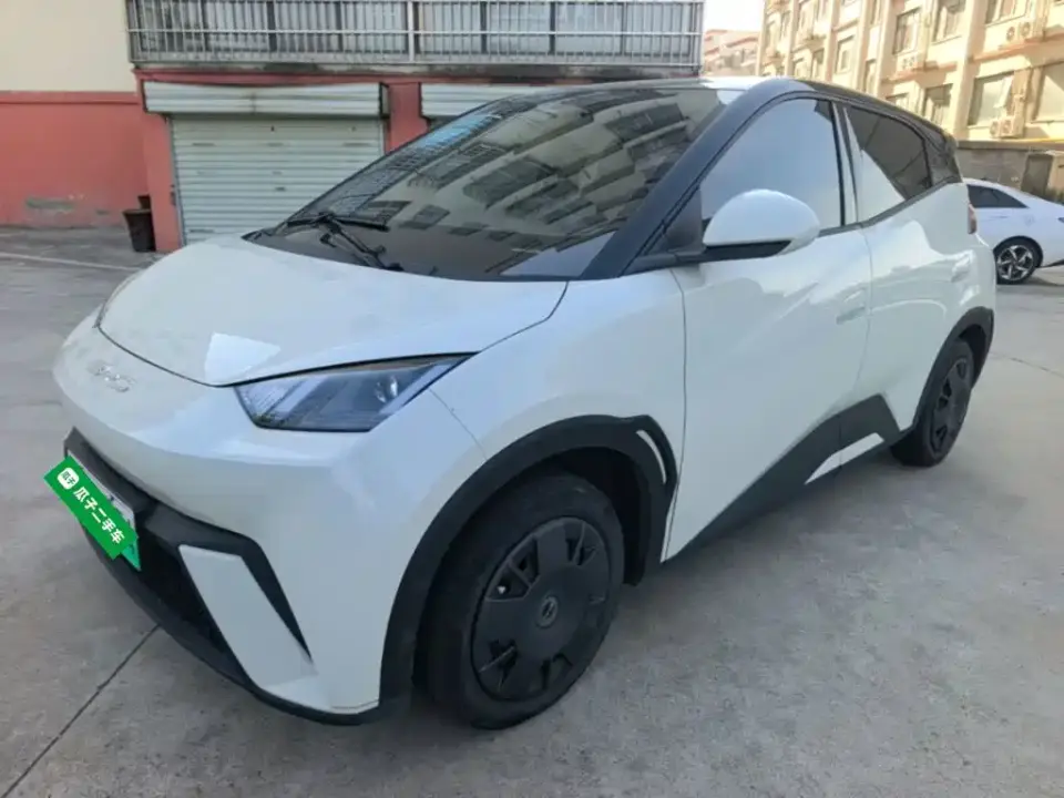BYD Seagull Vitality Edition 2024