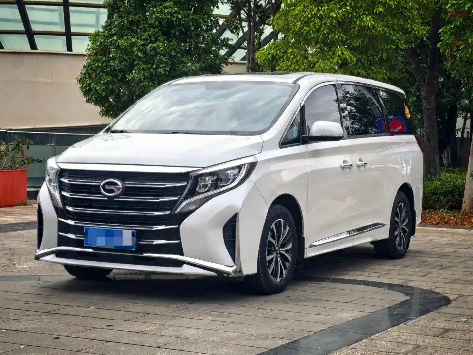 GAC Trumpchi M8 Leading Series 390T Luxury Edition 2024