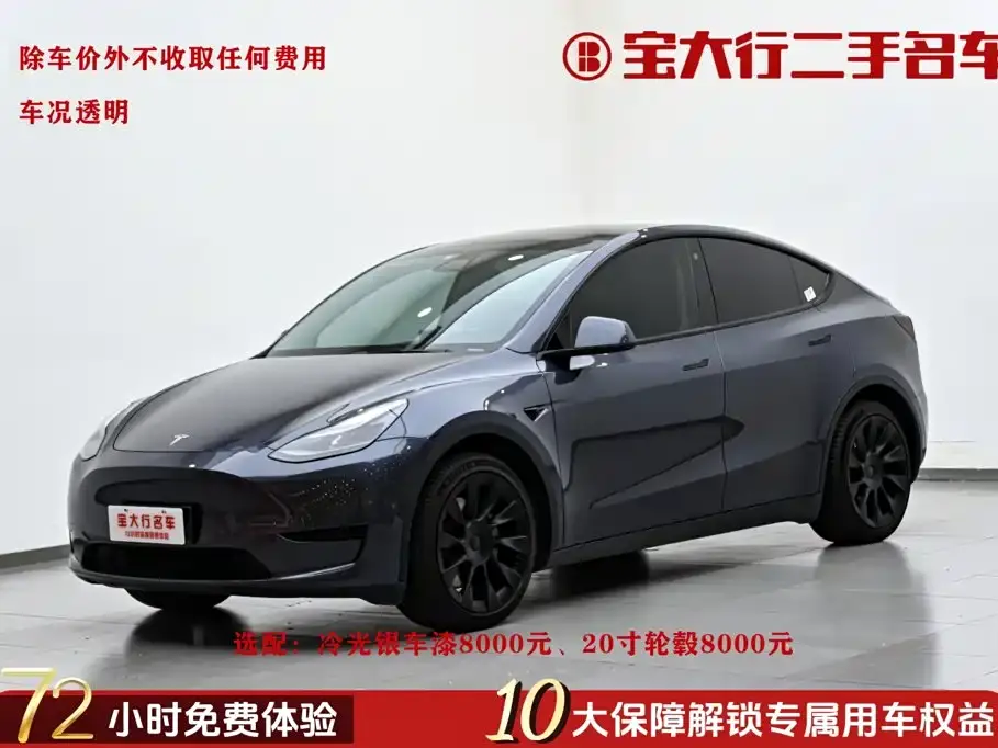 Tesla Model Y Rear-Wheel Drive Version 2022