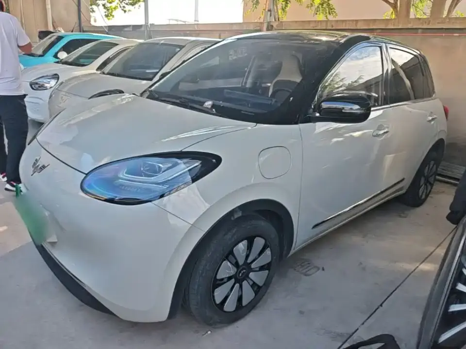 Wuling Motors Wuling Bingo 333km Comfort Edition 2024