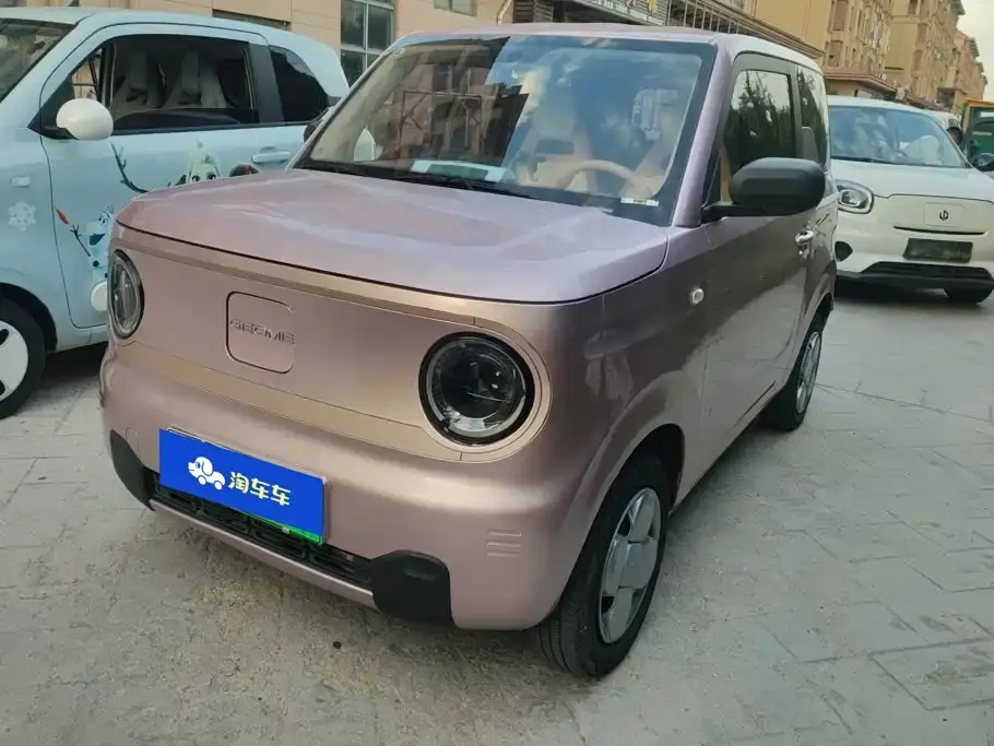 Geely Galaxy Panda Panda Mini 200km Endurance Bear 2024