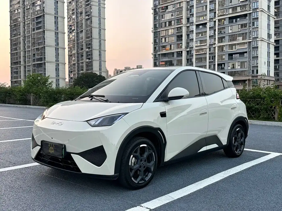 BYD Seagull Smart Drive Edition 305km Freedom Version 2025