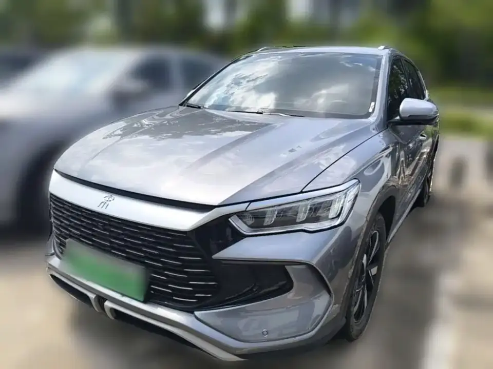 BYD Song Pro New Energy Glory Edition DM-i 71KM Pilot 2024