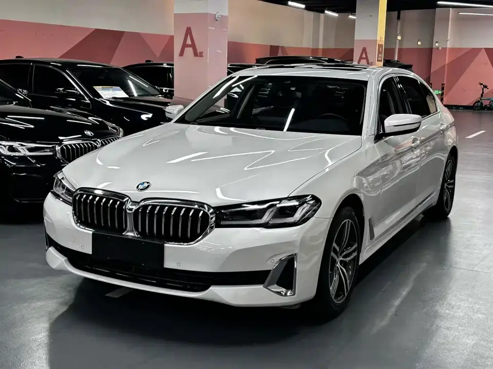 BMW 5 Series 530Li Leading Luxury Package 2021