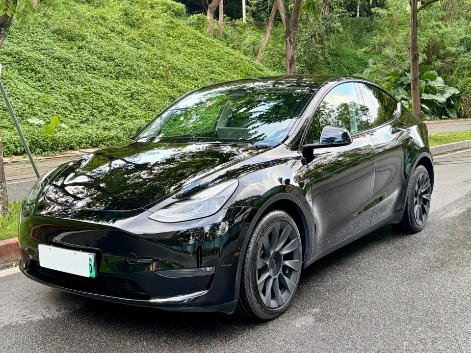 Tesla Model Y Model Long Range AWD 2021