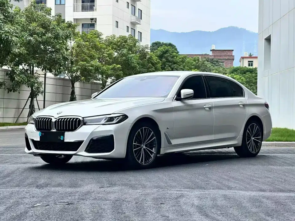 BMW 5 Series 530Li Leading M Sport Package 2020
