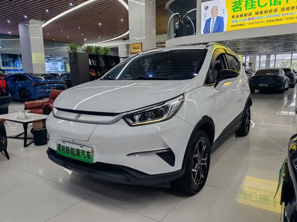 BYD Yuan Pro 401KM Premium Model 2022