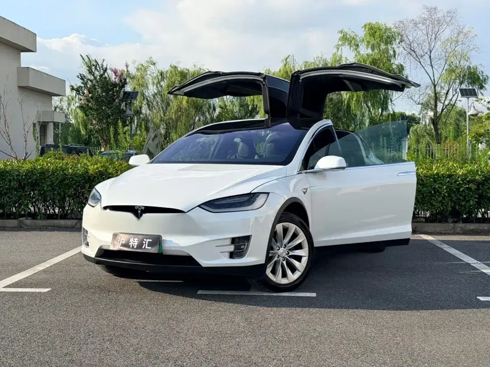 Tesla Model X Long Range Version 2019