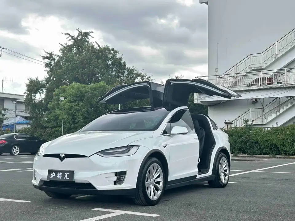 Tesla Model X Long Range Version 2019