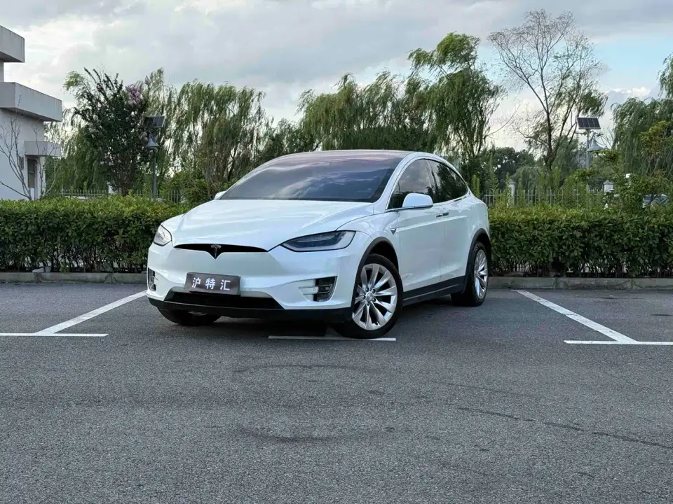 Tesla Model X Model X 100D Long Range 2019