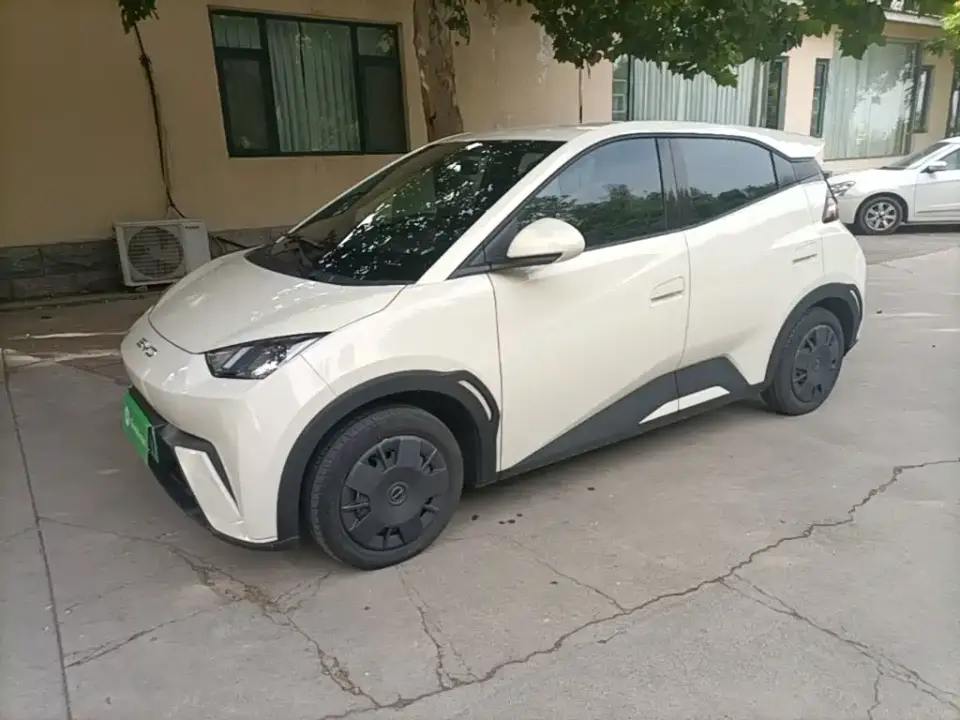 BYD Seagull Vitality Edition 2024
