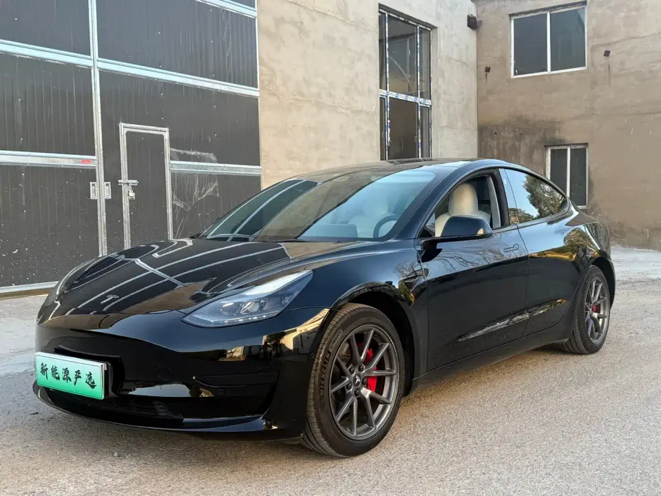 Tesla Model 3 Model Rear-Wheel Drive Version 2022