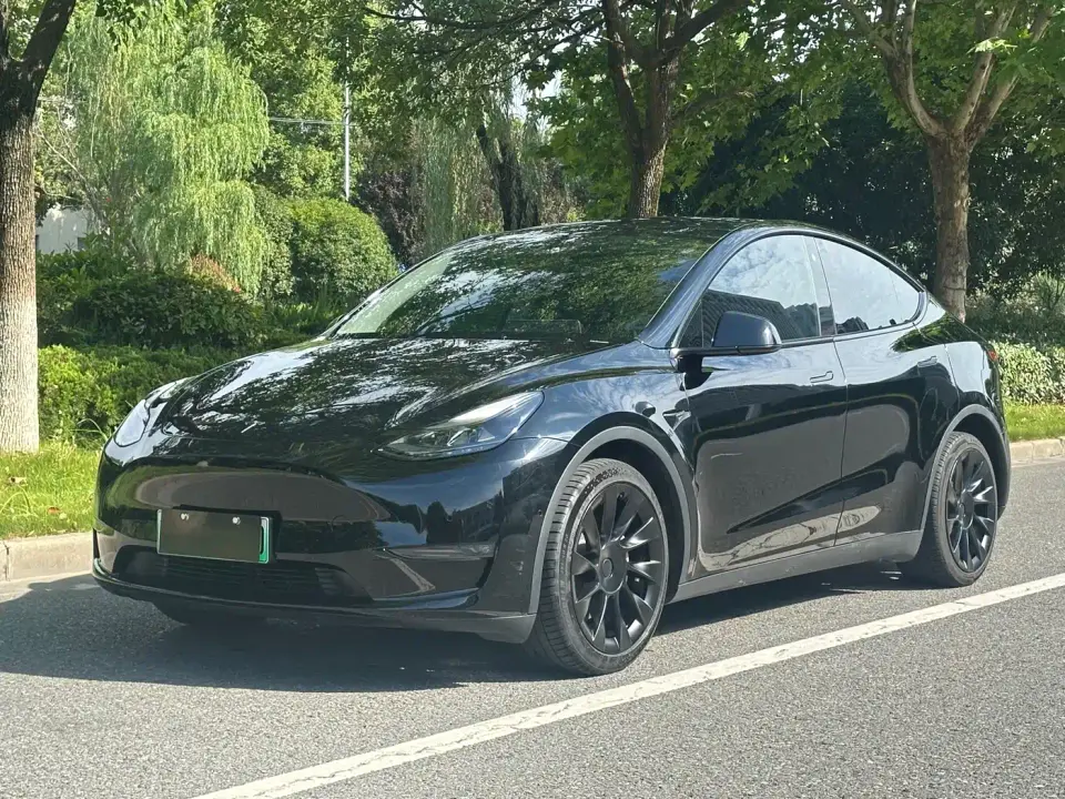Tesla Model Y Rear-Wheel Drive Version 2022