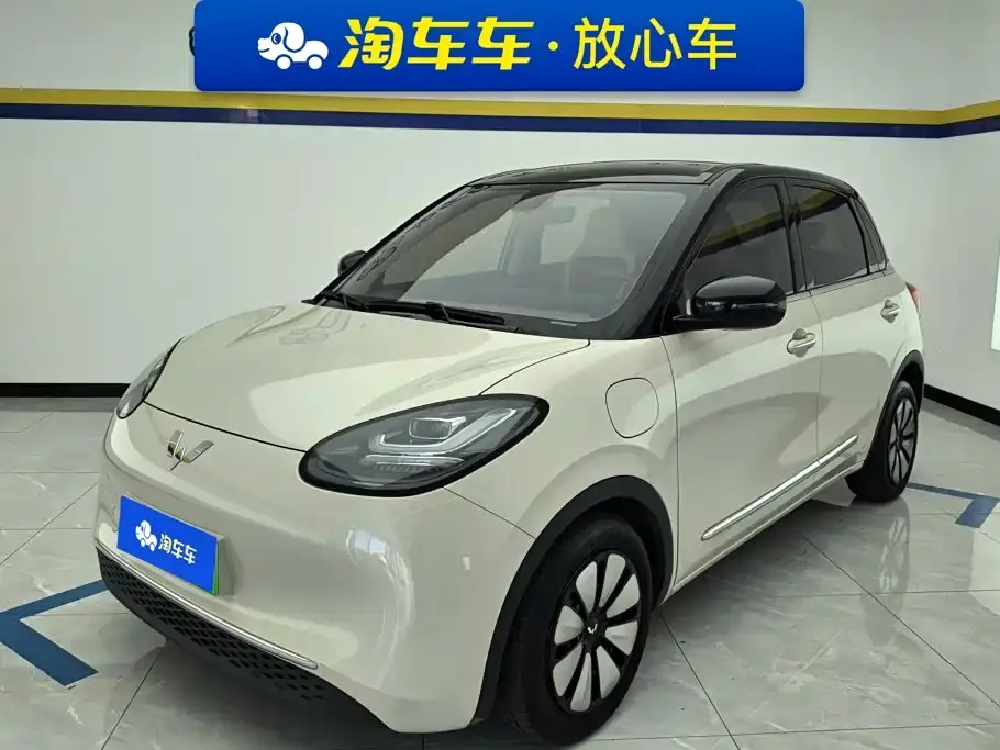 Wuling Motors Wuling Bingo 410km Lingxi Premium Edition 2024