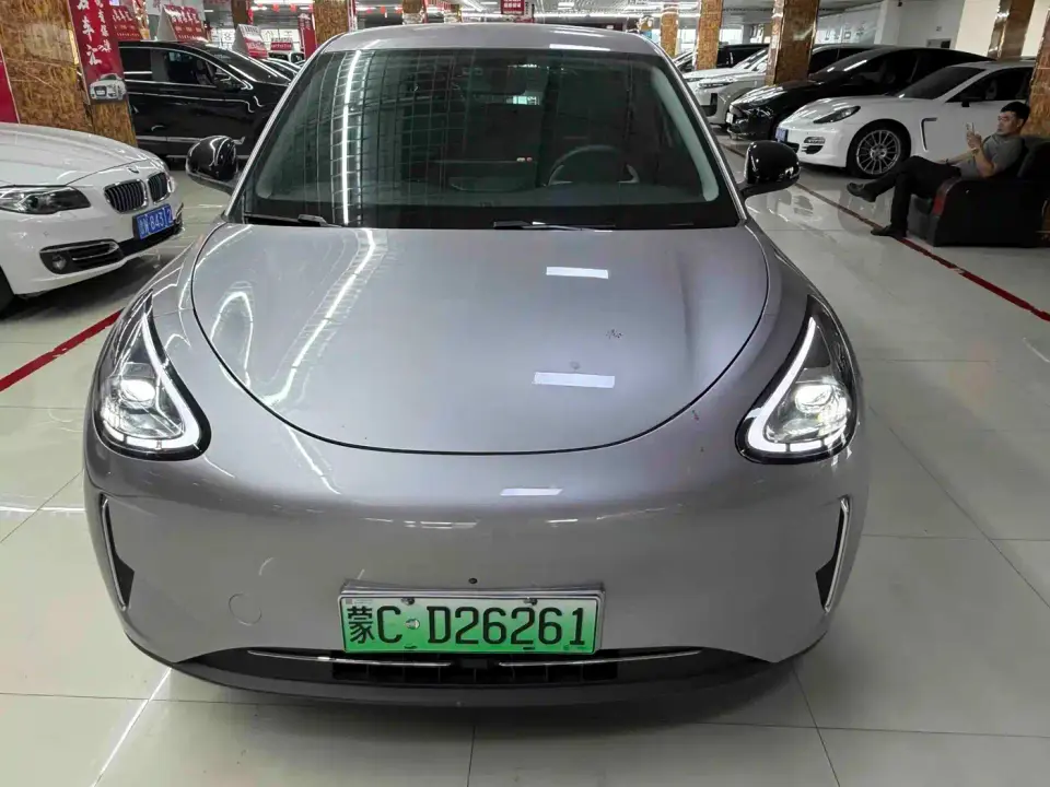 Geely Galaxy Starry Wish 310km Youth Edition 2025