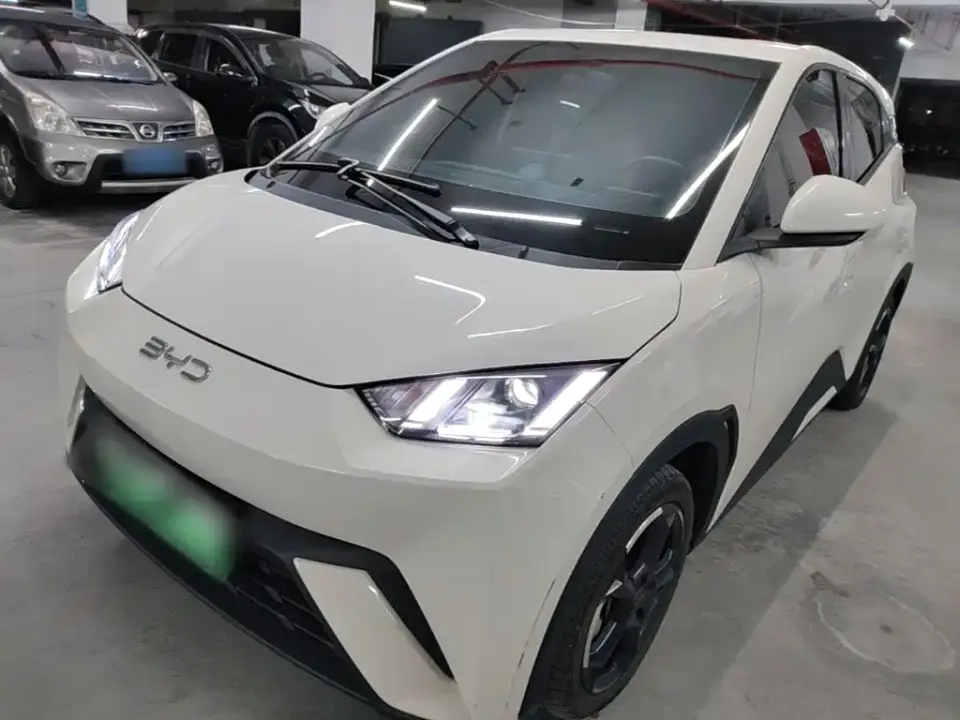 BYD Seagull Glory Edition 405km Soaring Edition 2024