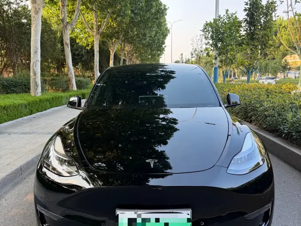 Tesla Model Y Long Range All-Wheel Drive 3D7 2021