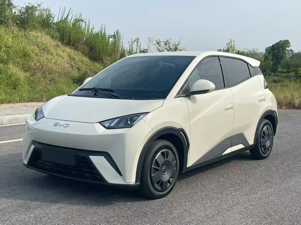 BYD Seagull Glory Edition 305km Freedom Edition 2025