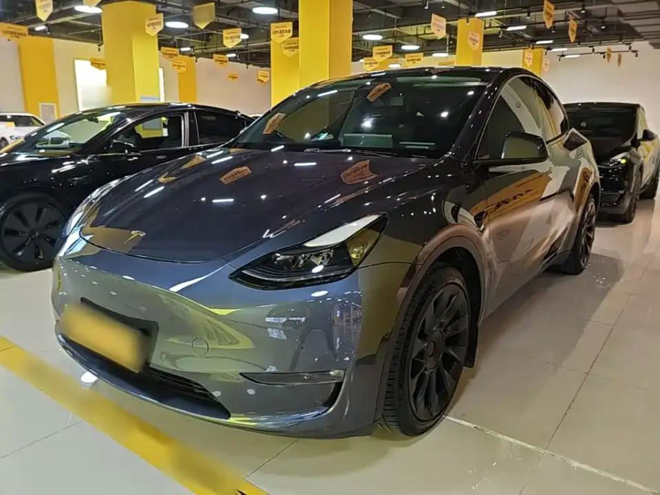 Tesla Model Y Long Range All-Wheel Drive 3D7 2021