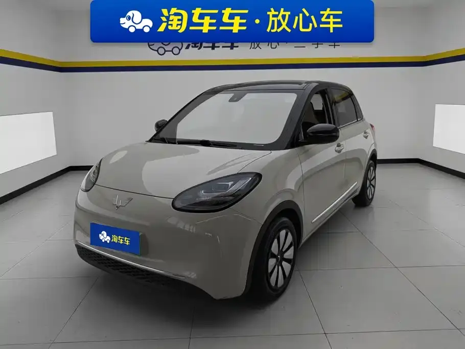 Wuling Motors Wuling Bingo 203km Comfort Version 2023