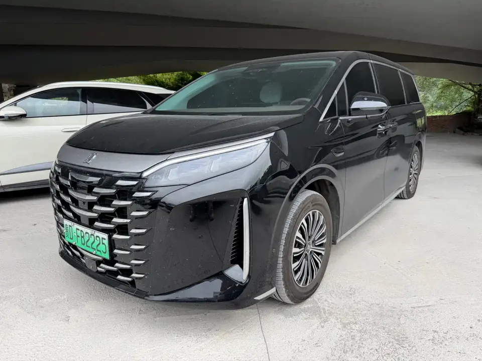 BYD Xia DM-i 1.5T 100km Leading Edition 2025