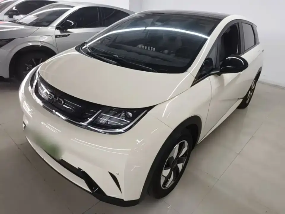 BYD Dolphin Glory Edition 420km Fashion Edition 2024