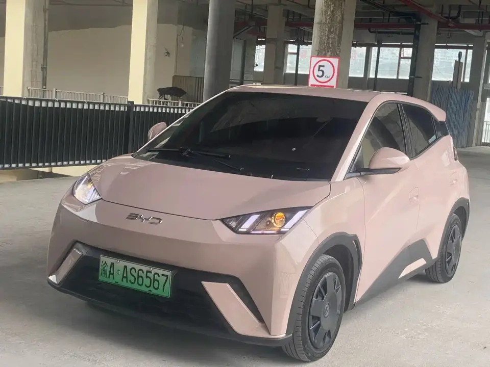 BYD Seagull Glory Edition 305km Freedom Edition 2024
