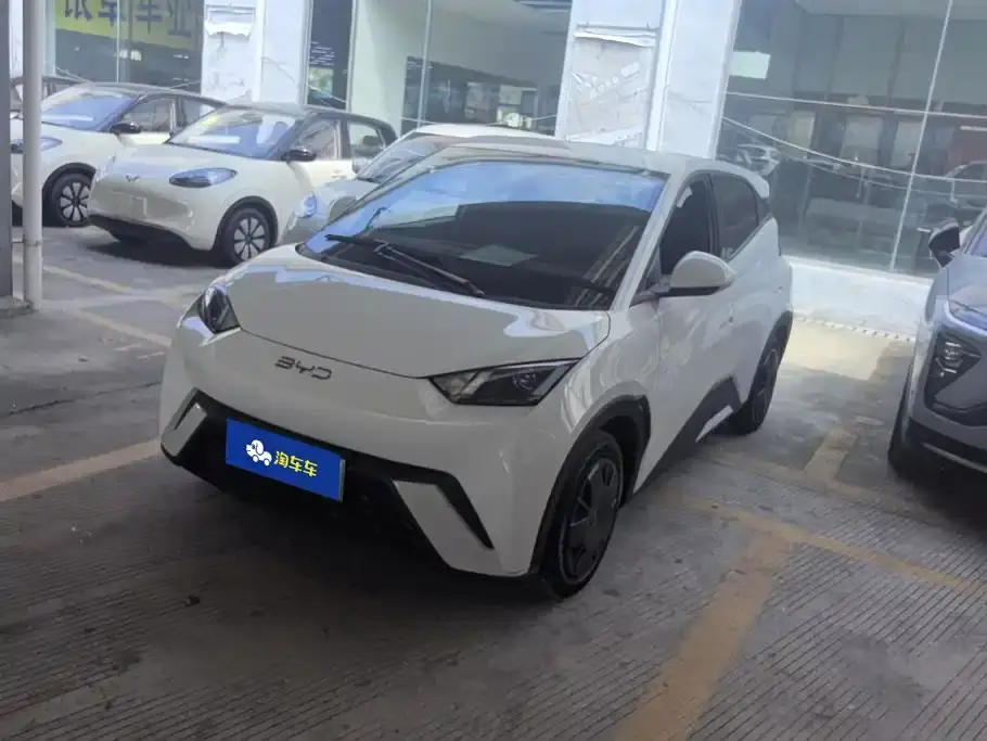 BYD Seagull 305km Vitality 2025
