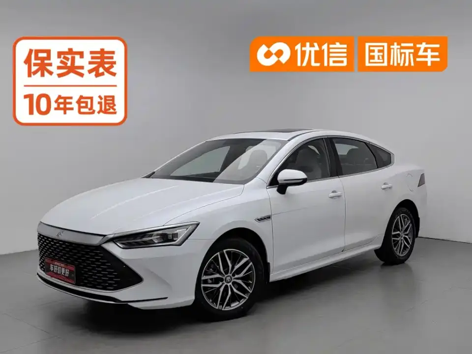 BYD Qin PLUS Champion Edition DM-i 120KM Surpassing Type 2023