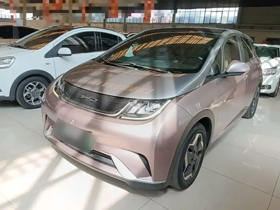 BYD Dolphin Model 405km Fashion Edition 2022
