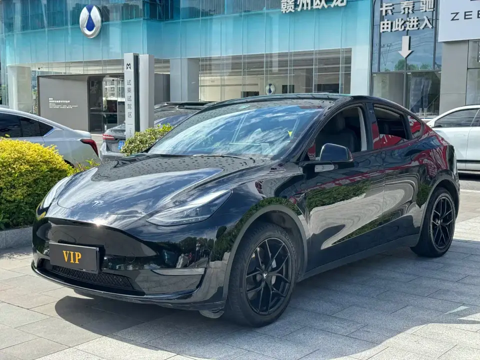 Tesla Model Y Long Range AWD 2022