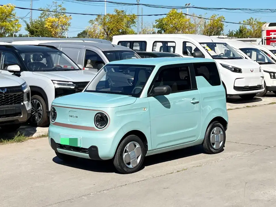 Geely Galaxy Panda Panda mini 200km Endurance Bear 2024