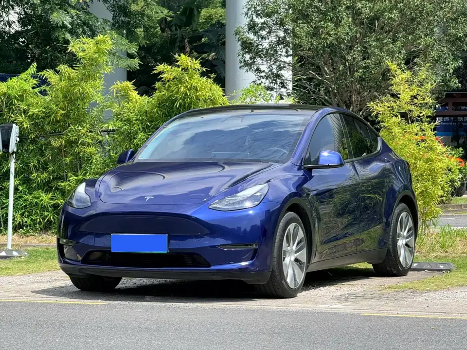 Tesla Model Y Long Range All-Wheel Drive 3D7 2021