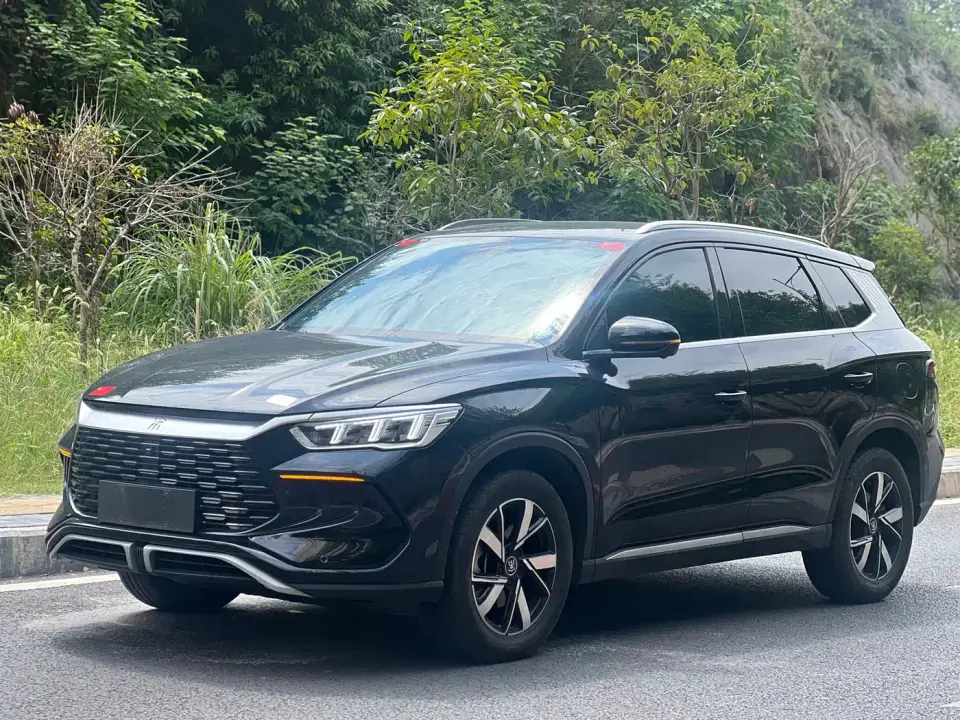 BYD Song Pro New Energy Glory Edition DM-i 71KM Pilot 2024
