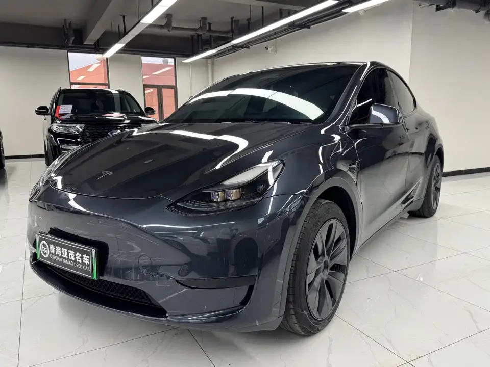 Tesla Model Y Rear-Wheel Drive Version 2024